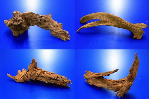 Mangroven-Wurzel Gr. M / 20 – 30 cm Mangrovenholz