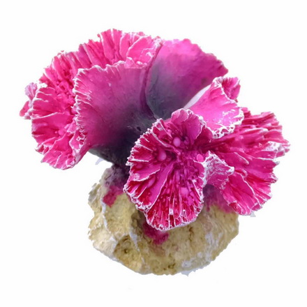 426258Ep - Violette Steinkoralle. Symphyllia Coral S. Klein ca. 9.5 x 7.7 x 7 cm Europet 426258Ep
