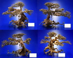 4080110AD - Aqua-Bonsai Wurzel Large - Aquascaping Drachenbaum Traumwurzel GroSz